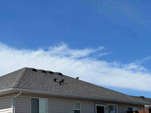 Best Roof Ventilation Installation  in Havana, FL